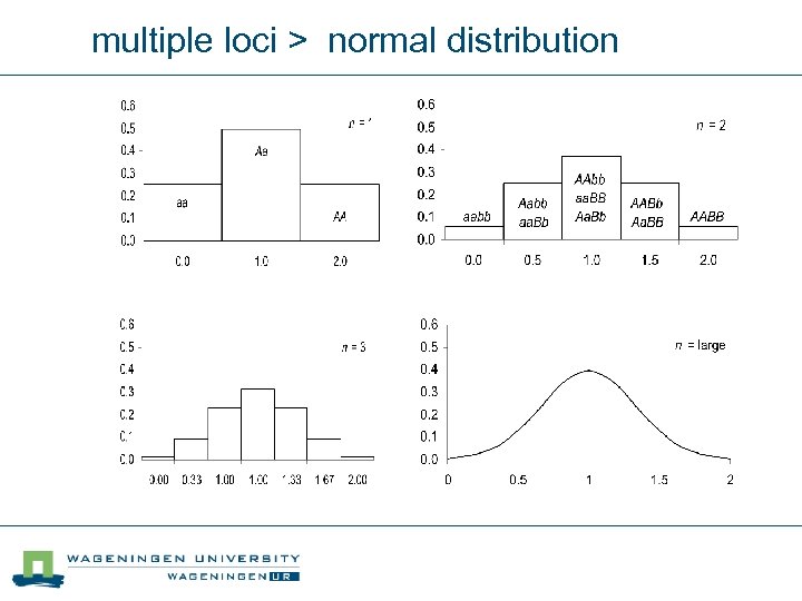 multiple loci > normal distribution 