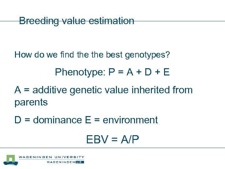 Breeding value estimation How do we find the best genotypes? Phenotype: P = A