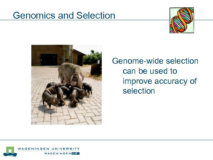 Genomics and Selection Genome-wide selection can be used to improve accuracy of selection 