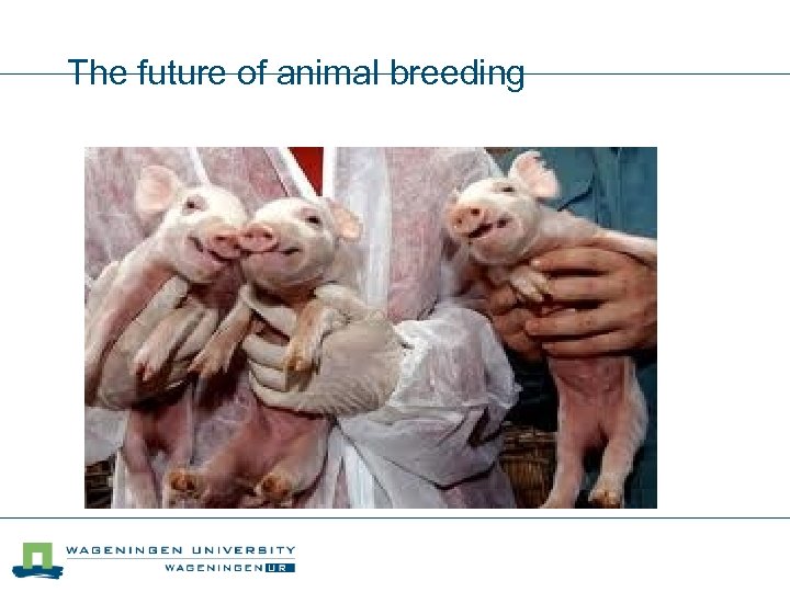The future of animal breeding Larger companies, new technologies breeding is expensive! reproductive technology: