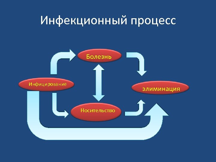 Инфекционный процесс Болезнь Инфицирование элиминация Носительство 