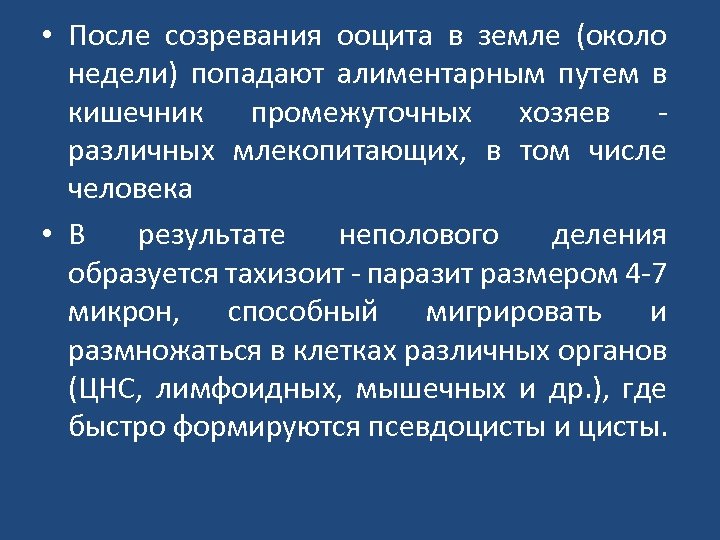  • После созревания ооцита в земле (около недели) попадают алиментарным путем в кишечник