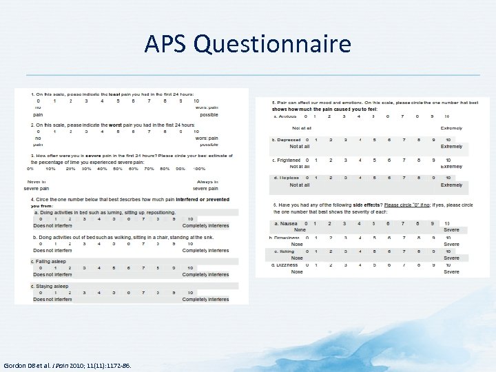 APS Questionnaire Gordon DB et al. J Pain 2010; 11(11): 1172 -86. 