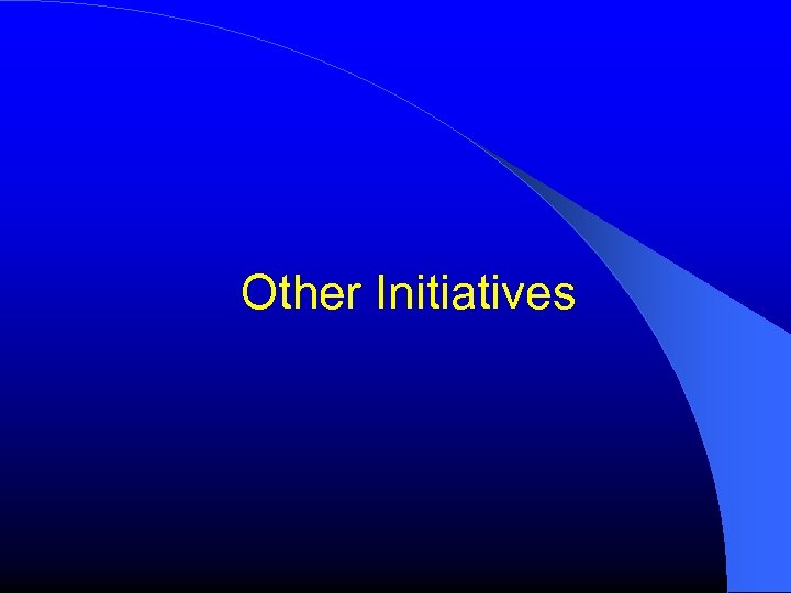 Other Initiatives 