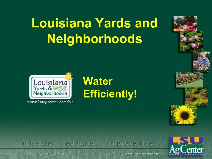 Louisiana Yards and Neighborhoods www. lsuagcenter. com/lyn Water Efficiently! 