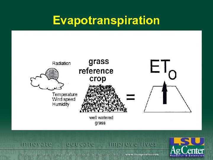 Evapotranspiration 