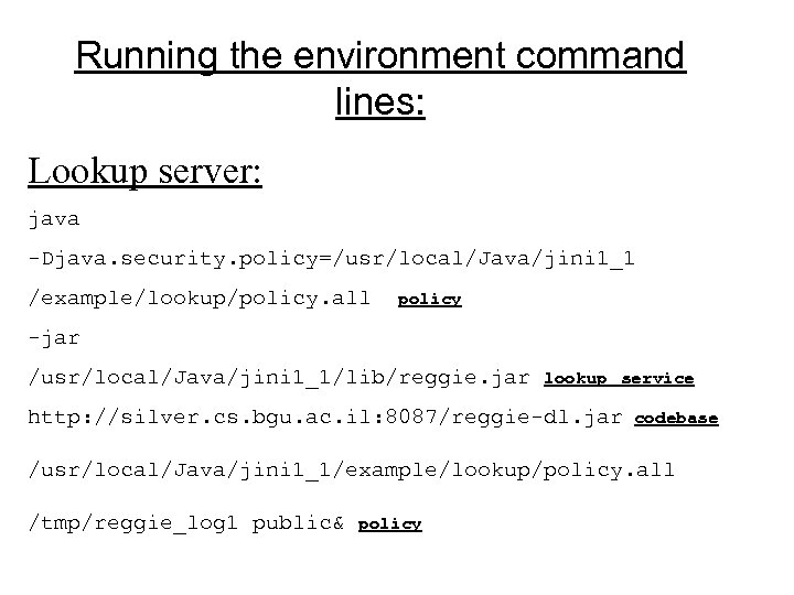 Running the environment command lines: Lookup server: java -Djava. security. policy=/usr/local/Java/jini 1_1 /example/lookup/policy. all