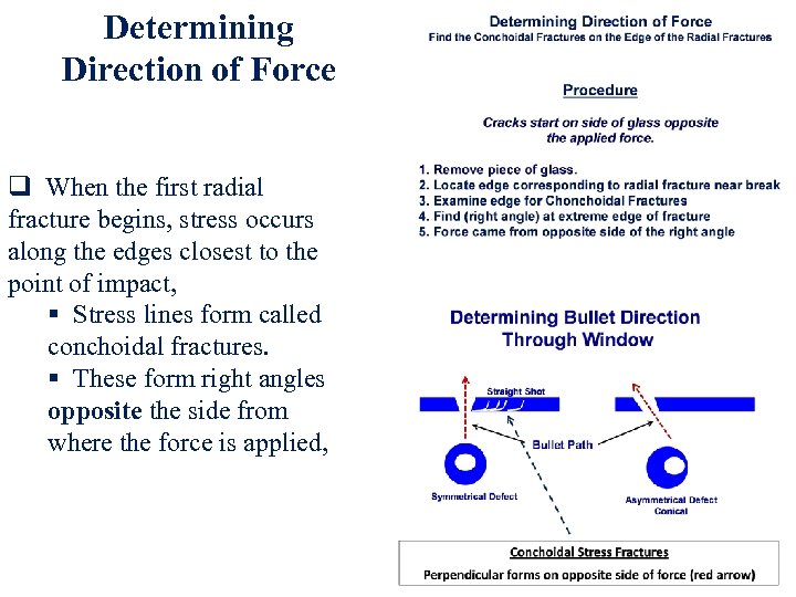 Determining Direction of Force q When the first radial fracture begins, stress occurs along