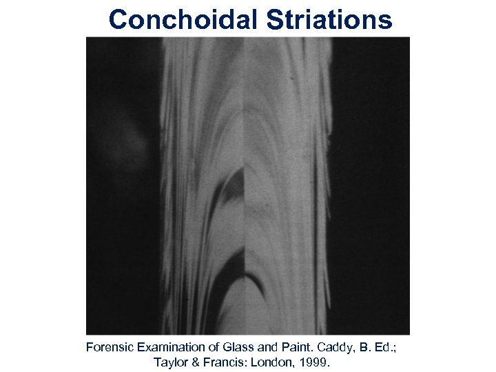 Conchoidal Striations Forensic Examination of Glass and Paint. Caddy, B. Ed. ; Taylor &
