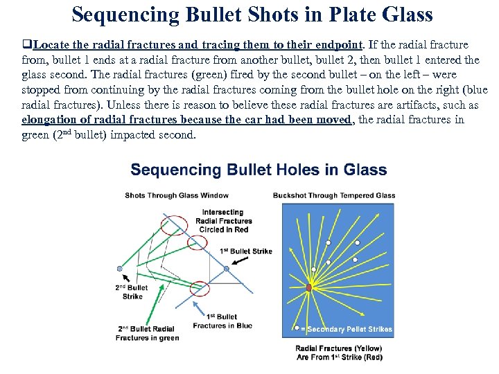 Sequencing Bullet Shots in Plate Glass q. Locate the radial fractures and tracing them