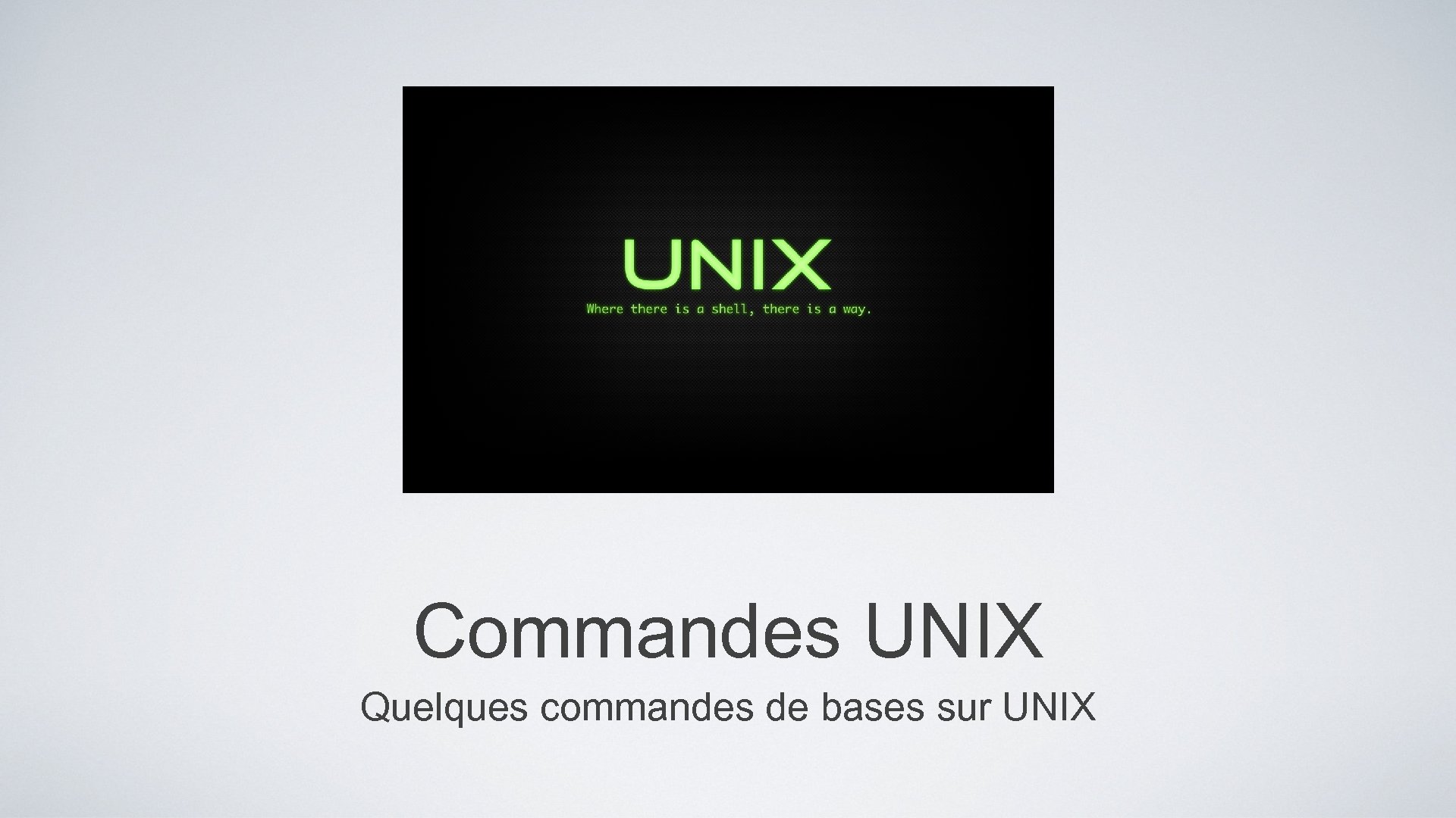 Commandes UNIX Quelques commandes de bases sur UNIX 