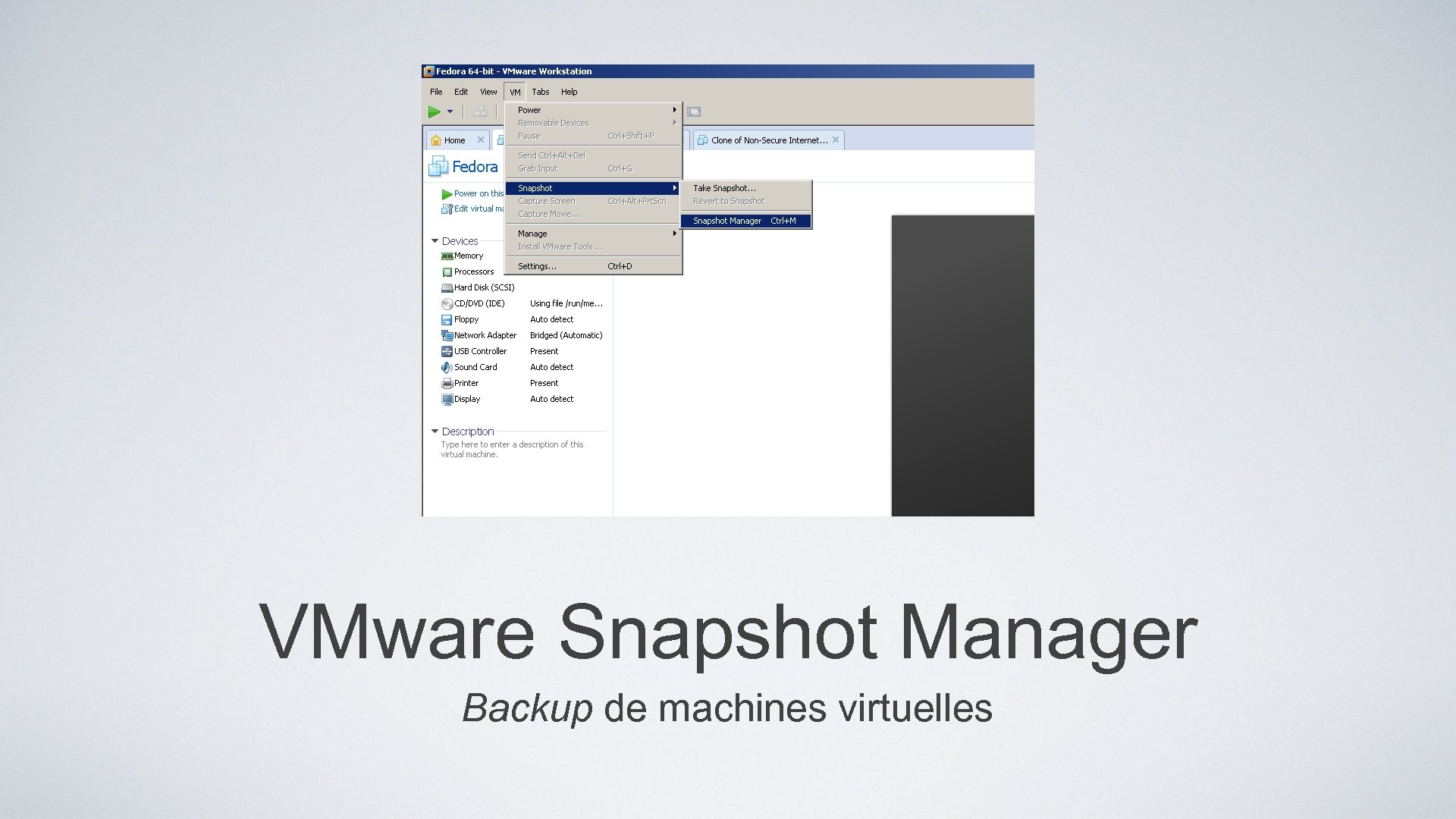 VMware Snapshot Manager Backup de machines virtuelles 