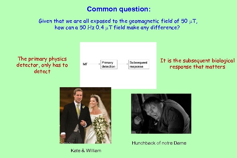 Common question: Given that we are all exposed to the geomagnetic field of 50