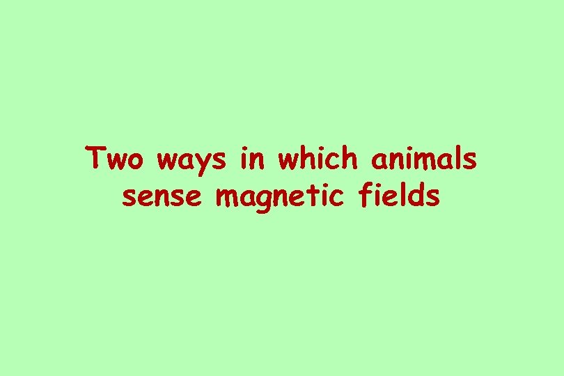 Two ways in which animals sense magnetic fields 