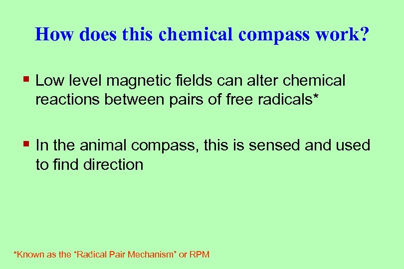 How does this chemical compass work? § Low level magnetic fields can alter chemical