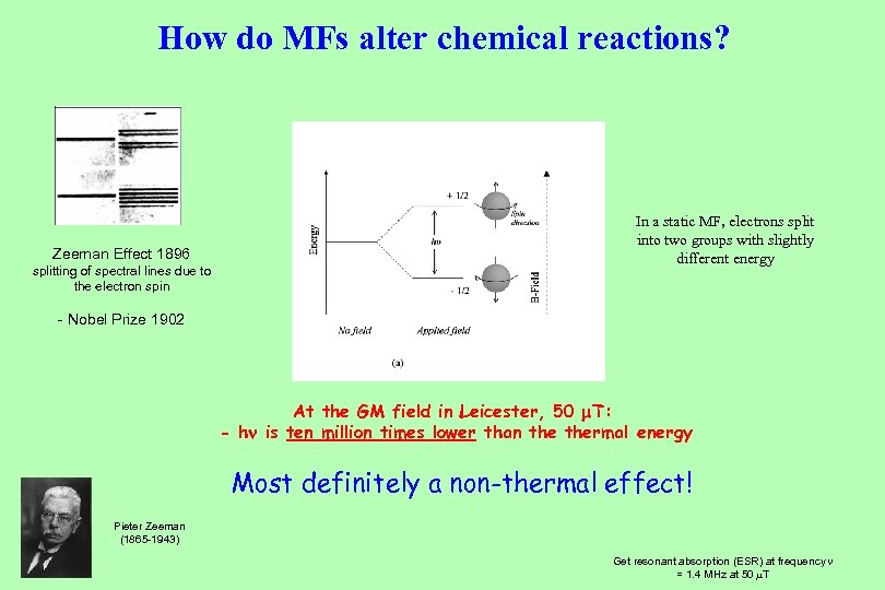 How do MFs alter chemical reactions? Zeeman Effect 1896 splitting of spectral lines due