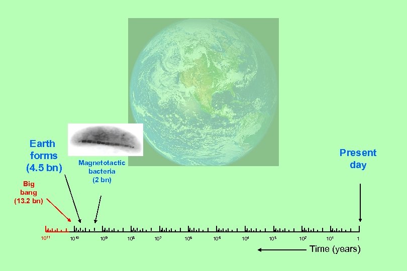Earth forms (4. 5 bn) Big bang (13. 2 bn) 1011 Present day Magnetotactic