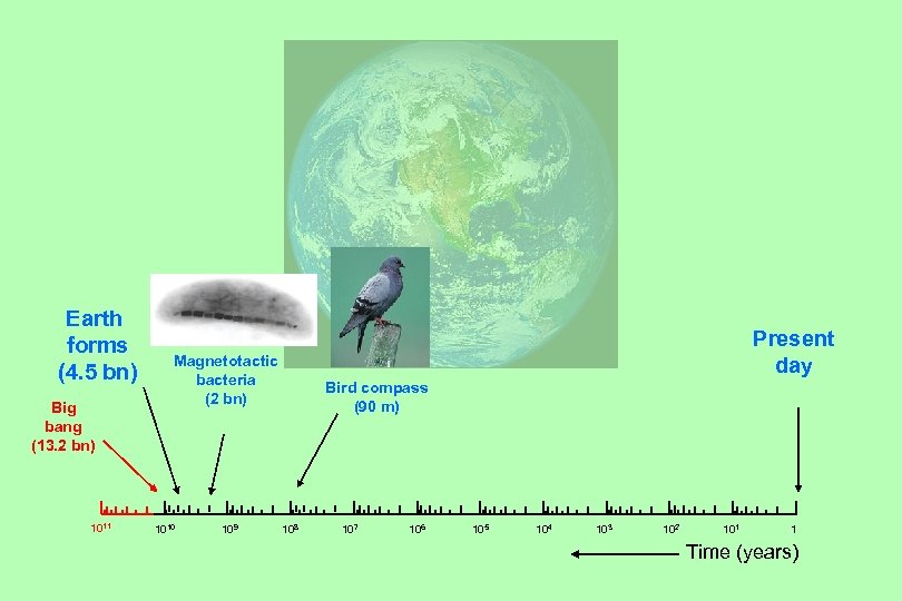 Earth forms (4. 5 bn) Big bang (13. 2 bn) 1011 Present day Magnetotactic