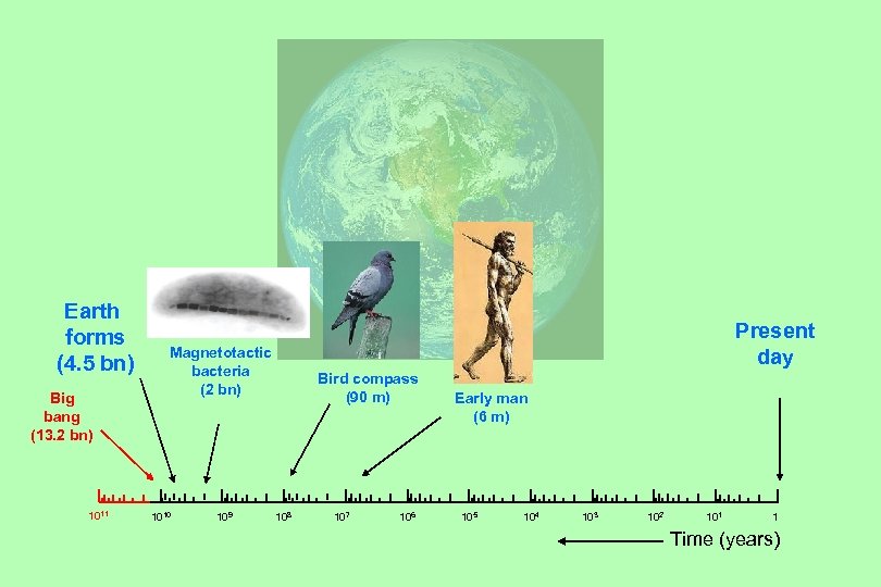 Earth forms (4. 5 bn) Big bang (13. 2 bn) 1011 Present day Magnetotactic