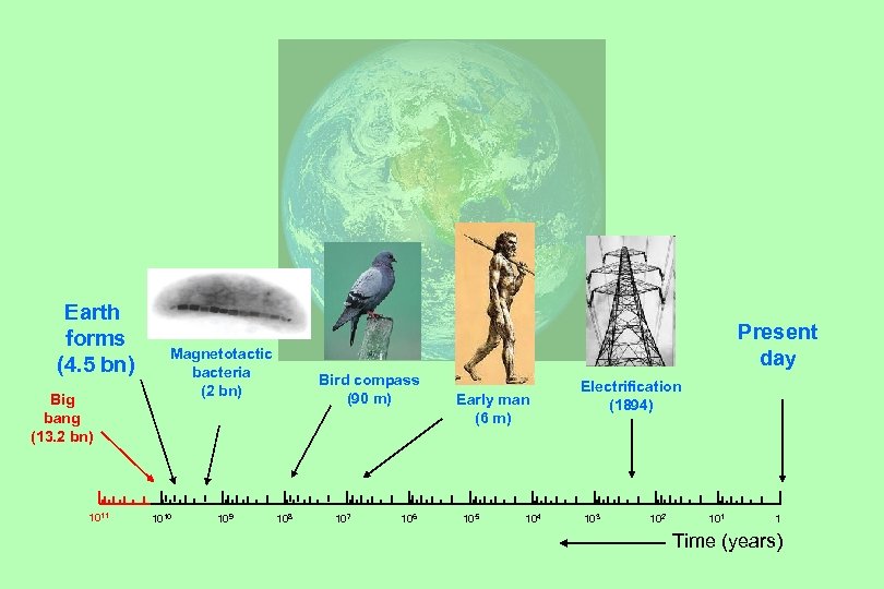 Earth forms (4. 5 bn) Big bang (13. 2 bn) 1011 Present day Magnetotactic