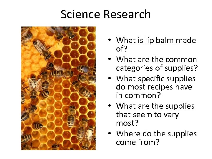 Science Research • What is lip balm made of? • What are the common