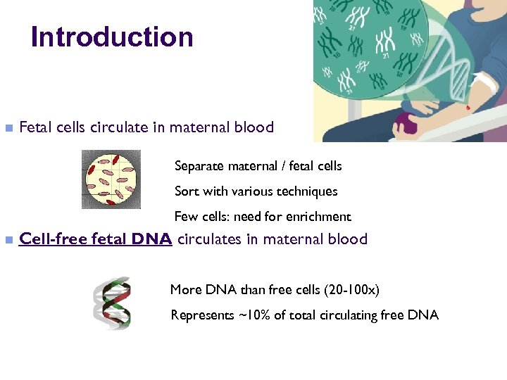 Introduction n Fetal cells circulate in maternal blood Separate maternal / fetal cells Sort