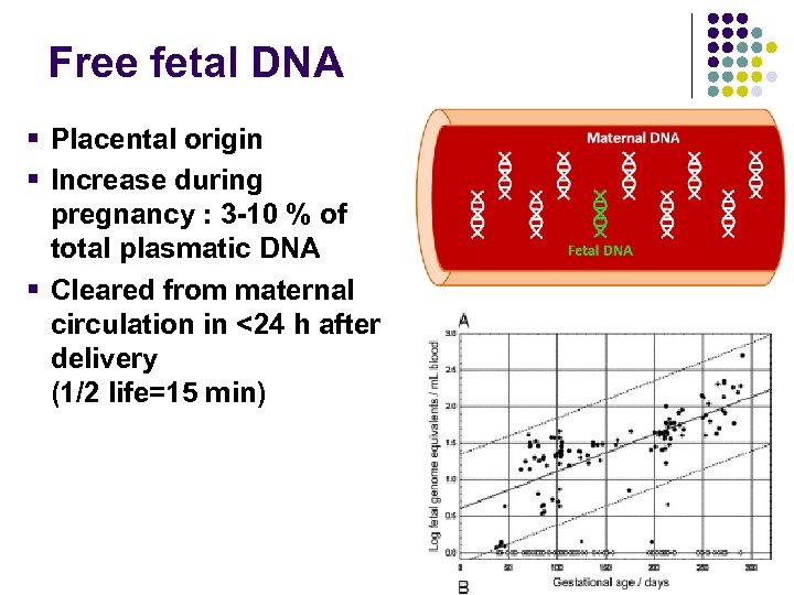 Free fetal DNA § Placental origin § Increase during pregnancy : 3 -10 %