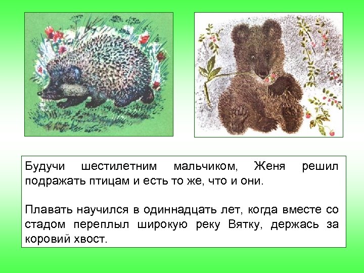 Будучи шестилетним мальчиком, Женя подражать птицам и есть то же, что и они. решил