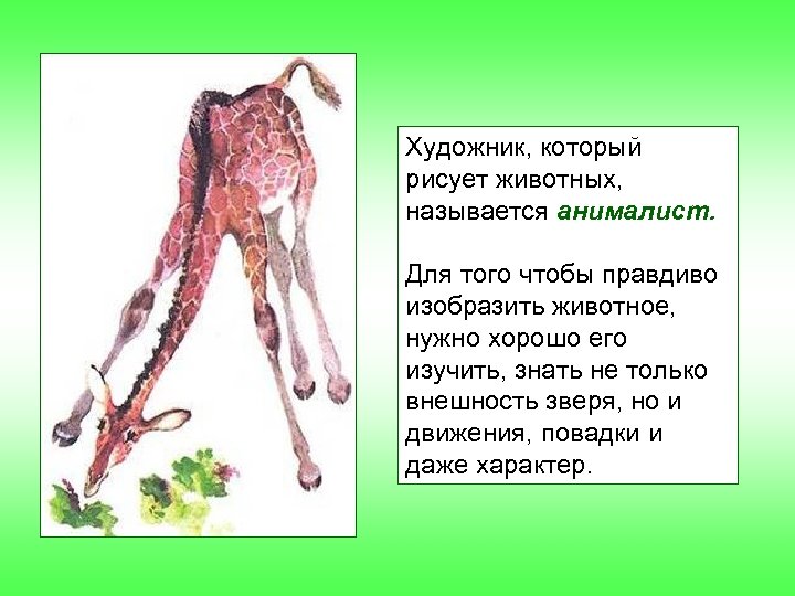 Художник, который рисует животных, называется анималист. Для того чтобы правдиво изобразить животное, нужно хорошо