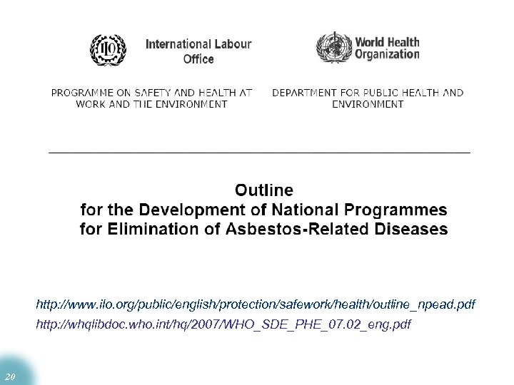 http: //www. ilo. org/public/english/protection/safework/health/outline_npead. pdf http: //whqlibdoc. who. int/hq/2007/WHO_SDE_PHE_07. 02_eng. pdf 20 