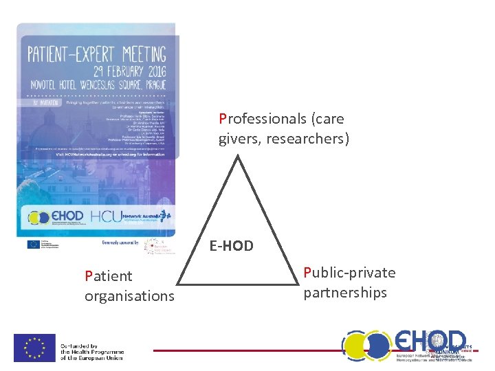 Professionals (care givers, researchers) E-HOD Patient organisations Public-private partnerships 