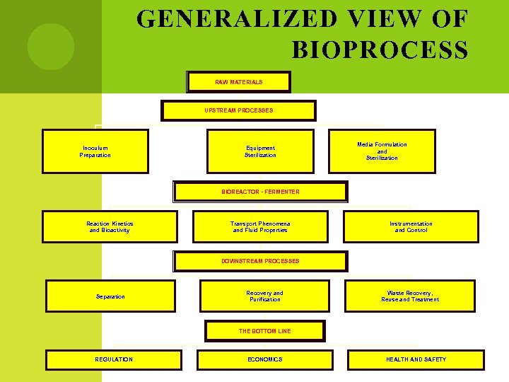 GENERALIZED VIEW OF BIOPROCESS RAW MATERIALS UPSTREAM PROCESSES Inoculum Preparation Equipment Sterilization Media Formulation