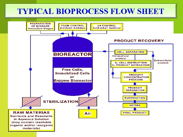 TYPICAL BIOPROCESS FLOW SHEET 