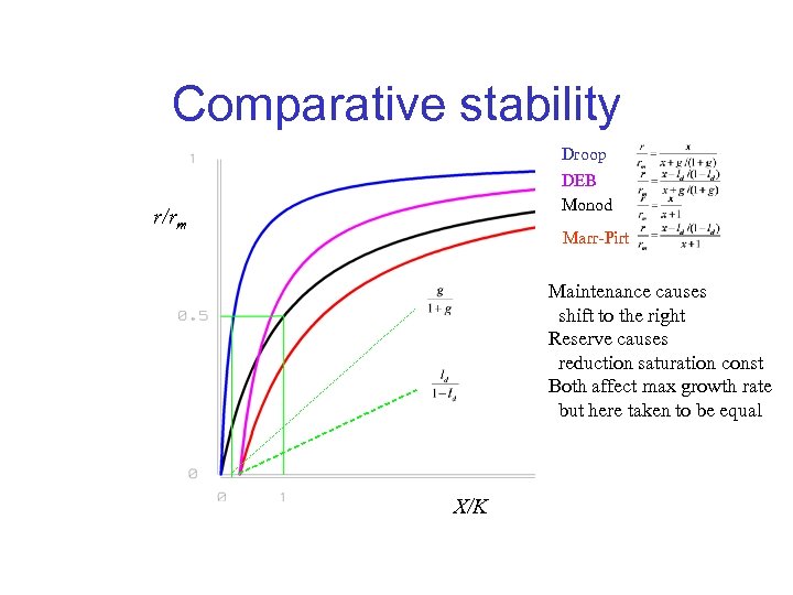 Comparative stability Droop DEB Monod r/rm Marr-Pirt Maintenance causes shift to the right Reserve