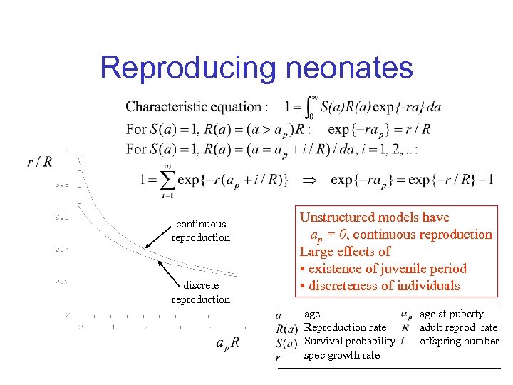 Reproducing neonates continuous reproduction discrete reproduction Unstructured models have ap = 0, continuous reproduction
