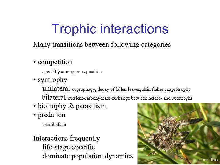Trophic interactions Many transitions between following categories • competition specially among con-specifics • syntrophy