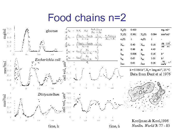 Food chains n=2 mm 3. ml-1 1 e 2(0) 1 - 0. 40 XK