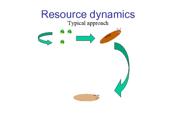 Resource dynamics Typical approach 