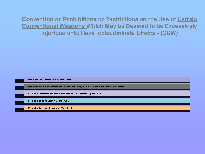 Convention on Prohibitions or Restrictions on the Use of Certain Conventional Weapons Which May