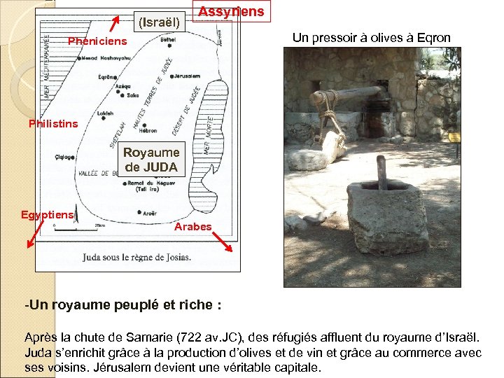 (Israël) Assyriens Un pressoir à olives à Eqron Phéniciens Philistins Royaume de JUDA Egyptiens