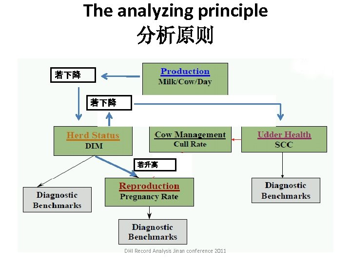 The analyzing principle 分析原则 若下降 若升高 DHI Record Analysis Jinan conference 2011 