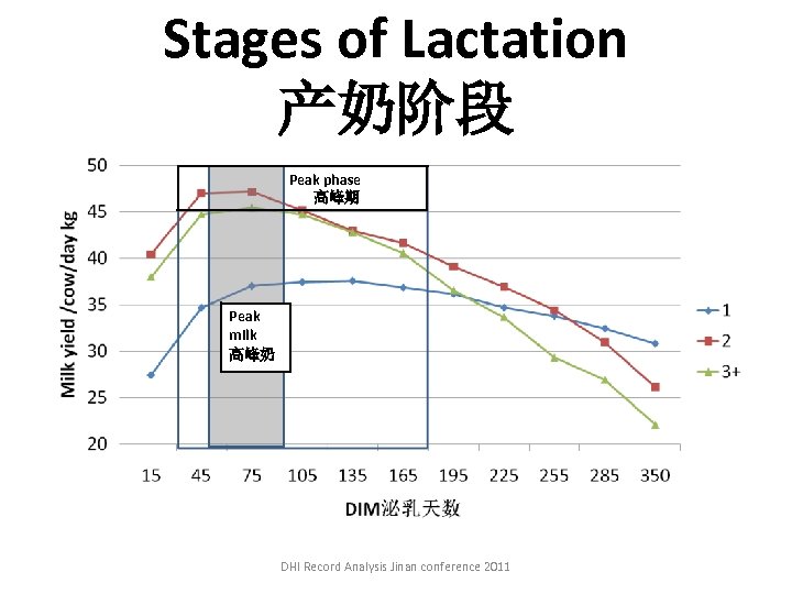Stages of Lactation 产奶阶段 Peak phase 高峰期 Peak milk 高峰奶 DHI Record Analysis Jinan