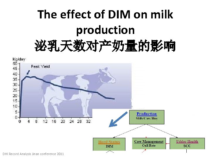 The effect of DIM on milk production 泌乳天数对产奶量的影响 DHI Record Analysis Jinan conference 2011