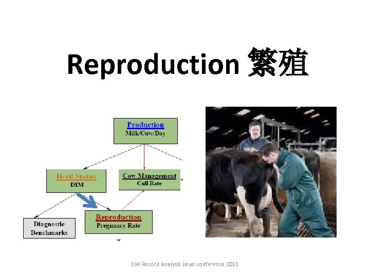 Reproduction 繁殖 DHI Record Analysis Jinan conference 2011 