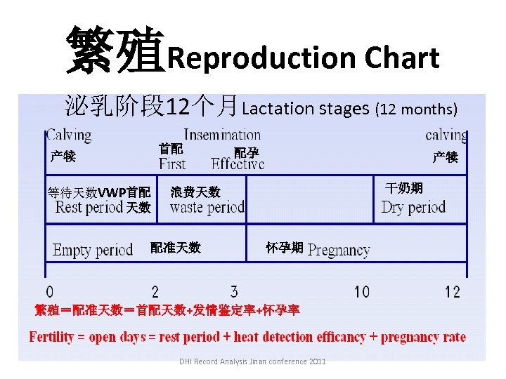 繁殖Reproduction Chart 泌乳阶段 12个月Lactation stages (12 months) 首配 产犊 等待天数VWP 首配 天数 配孕 产犊