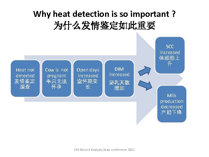 Why heat detection is so important ? 为什么发情鉴定如此重要 Heat not detected 发情鉴定 漏查 Cow