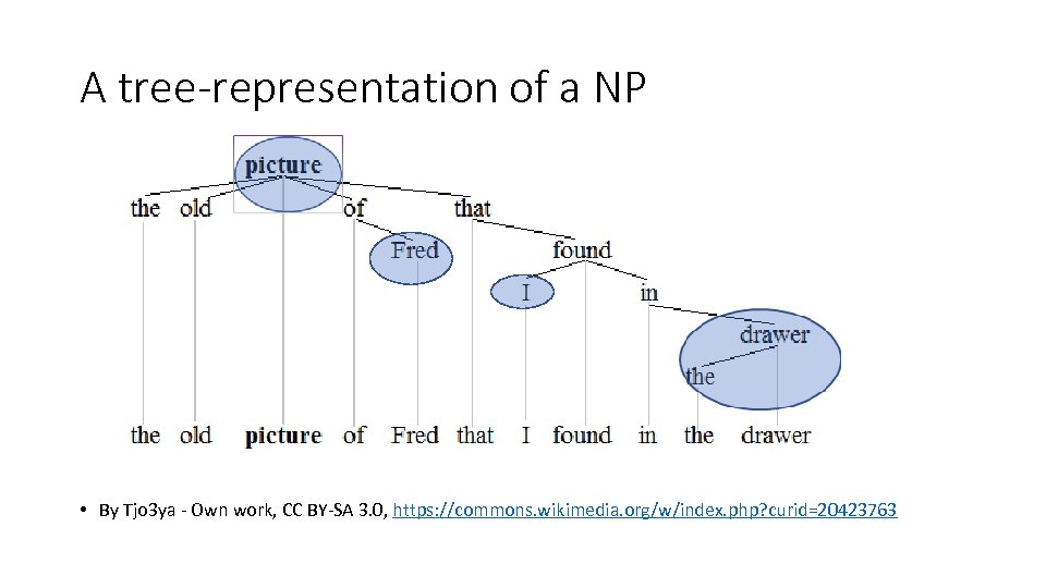 A tree-representation of a NP • By Tjo 3 ya - Own work, CC