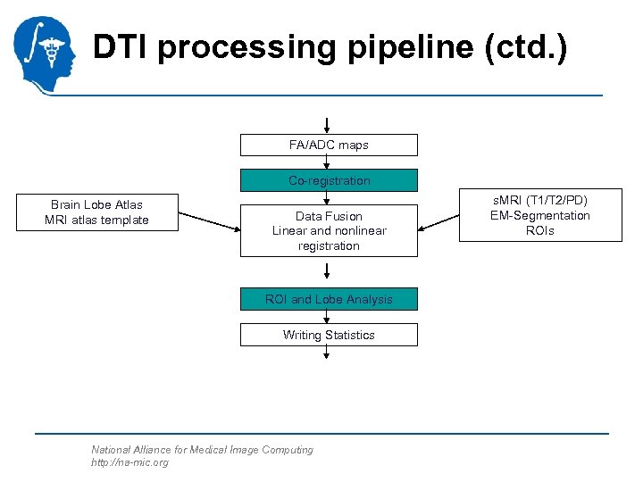 DTI processing pipeline (ctd. ) FA/ADC maps Co-registration Brain Lobe Atlas MRI atlas template