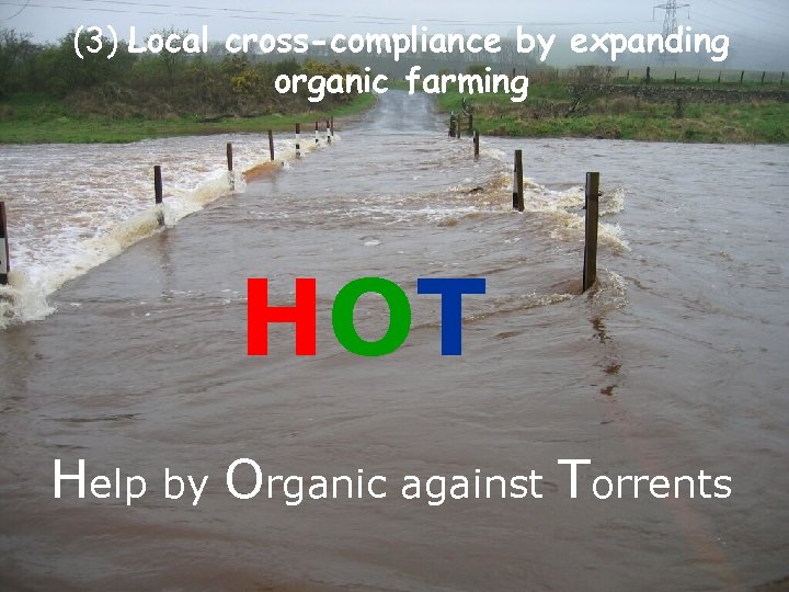 Eco. Region Partner Conference, Asker (Norway) 24 -26 May 2011 (3) Local cross-compliance by