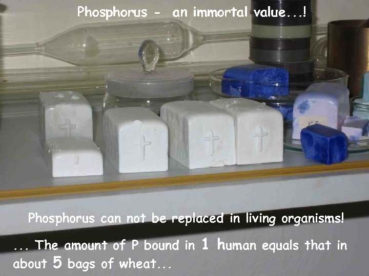 Phosphorus - an immortal value. . . ! Eco. Region Partner Conference, Asker (Norway)